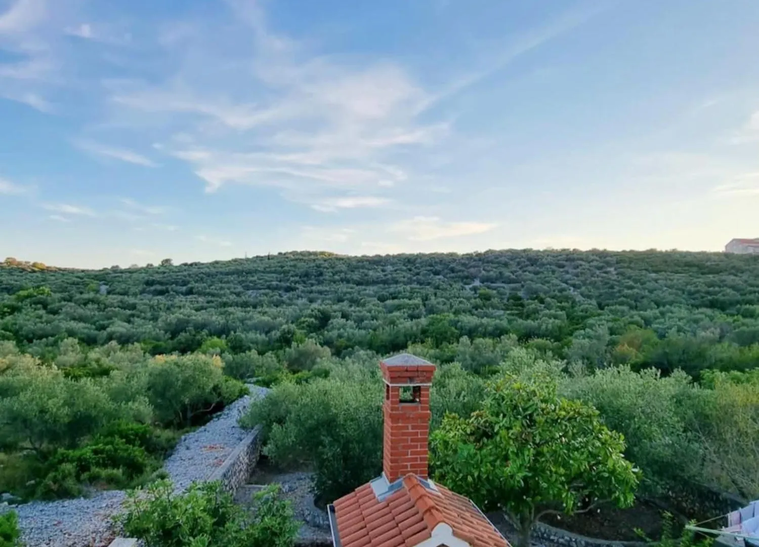 Olive Grove Retreat Apartment Kali