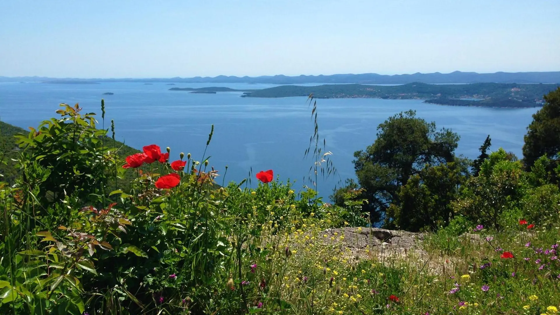 Olive Grove Retreat Apartment Kali Croatia